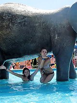 12 pictures - Best bikinis worn by the cutest gals